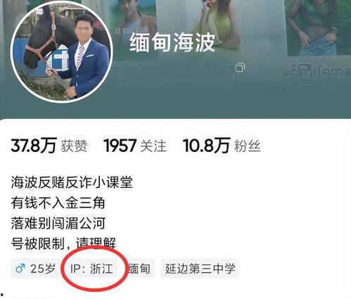 海波直播爆料最新消息,揭秘娱乐圈幕后风云
