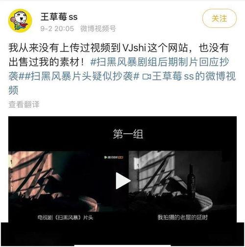 最新爆料草莓视频,揭秘网络红人幕后真相  第3张