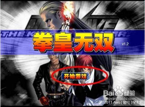 双人 拳皇 在线观看,激情四溢的格斗盛宴  第2张