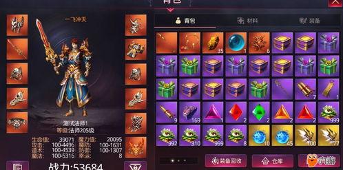 黑金甲虫爆料视频大全集,揭秘幕后真相与精彩瞬间
