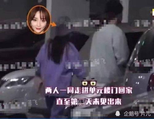 歌手恋情爆料视频大全,歌手恋情爆料视频大盘点
