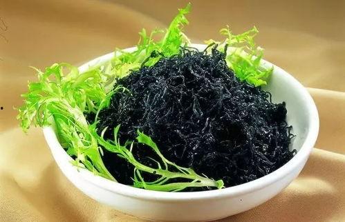 紫菜制作爆料方法视频讲解,视频详解，轻松学会家常美味