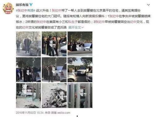 金宝前妻爆料视频,揭秘婚姻内幕与情感纠葛  第2张