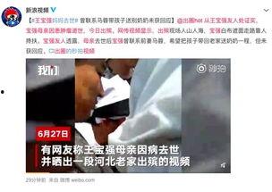 金宝前妻爆料视频,揭秘婚姻内幕与情感纠葛  第3张