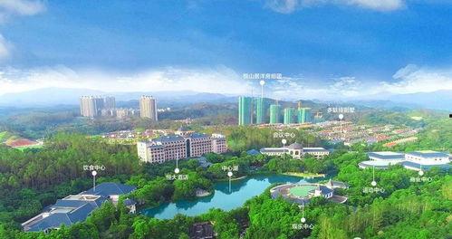 清远绿地爆料事件最新,揭露背后真相与争议发酵  第2张