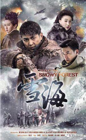 电视剧雪海全集在线观看,探寻神秘雪域的传奇之旅
