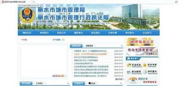 官方的最新爆料网站,揭秘神秘项目，带你领略科技前沿风采  第2张