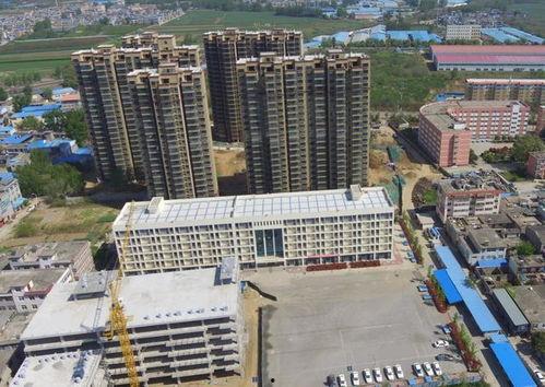 南阳最新爆料,揭秘背后惊人真相  第2张