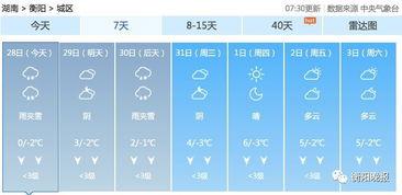 衡阳头条今日爆料,揭秘某重大事件背后真相！  第3张