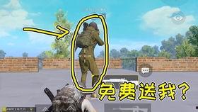 端游吃鸡衣服爆料视频,爆料视频带你领略时尚与实力的完美融合  第2张