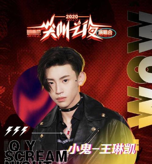 娱乐爱爆料王琳凯是谁啊,王琳凯是谁？  第2张