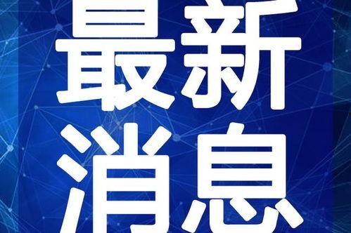 莒县房产主播爆料视频最新,最新爆料视频深度解析