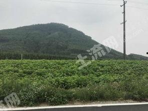 广西土地爆料最新消息今天,最新爆料揭示土地市场新动向”