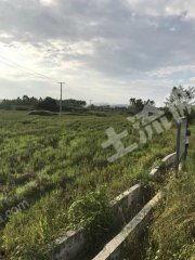 广西土地爆料最新消息今天,最新爆料揭示土地市场新动向”  第3张