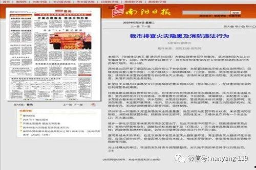 新闻爆料南阳最新消息,突发事件引发关注，详情即将揭晓