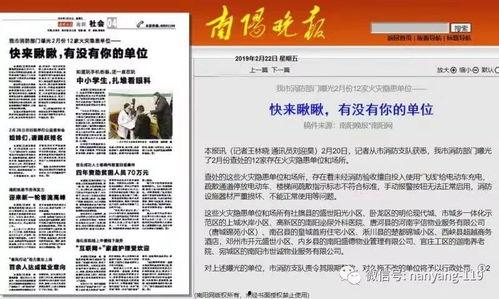 新闻爆料南阳最新消息,突发事件引发关注，详情即将揭晓  第2张