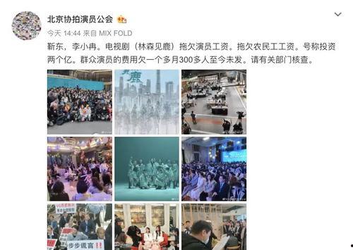 鹿拍视频爆料违法吗,违法与否引发社会热议