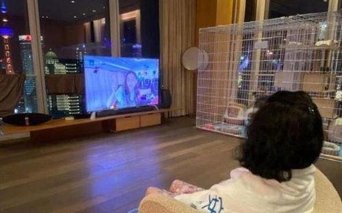 爆料千万豪宅事件视频大全,视频大全背后的惊人真相  第2张
