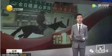 小马哥爆料视频大全集,揭秘幕后真相与精彩瞬间  第2张
