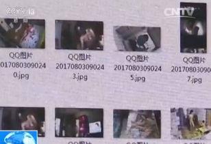 央视新闻爆料监管锁,揭秘网络监管背后的真相  第2张