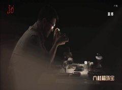 焦点在线观看完整视频,揭秘精彩瞬间，重温经典时刻  第2张