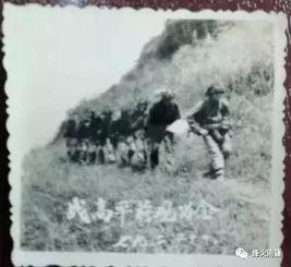 高平战役电影在线观看,烽火岁月里的英雄赞歌