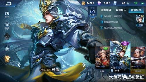 王者荣耀最新爆料韩信,韩信新皮肤爆料，神秘英雄再掀风云  第3张