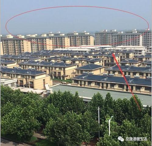 乐亭新闻爆料平台,最新动态一网打尽！