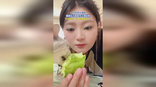 小主儿娱乐吃瓜,揭秘娱乐圈幕后故事  第2张
