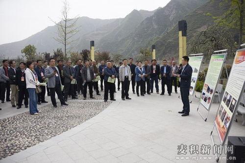 天水麦积区最新爆料,揭秘区域发展新动向  第3张