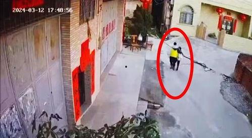 五华爆料新闻最新消息,揭秘事件背后真相，真相令人震惊！