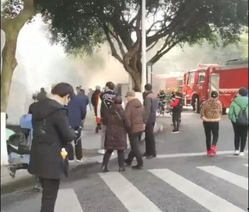 网友爆料餐厅视频大全最新,最新餐厅视频大全，揭秘美食背后的秘密  第3张