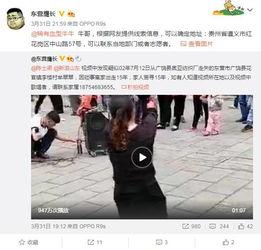 刘心大瓜爆料视频大全,揭秘娱乐圈幕后真相，视频大全带你一探究竟