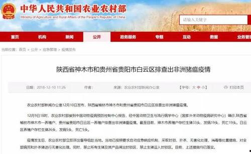 猪瘟最新爆料,揭秘病毒传播与防控策略  第3张