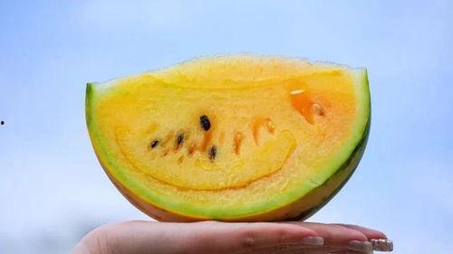 吃瓜云南网红,揭秘当地美食与风土人情