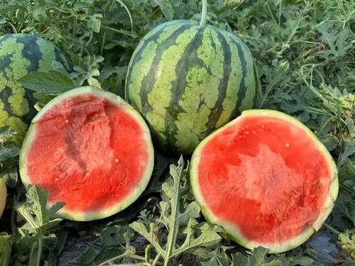 吃瓜云南网红,揭秘当地美食与风土人情  第2张