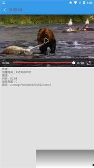 小奇最新爆料视频下载,精彩瞬间一网打尽