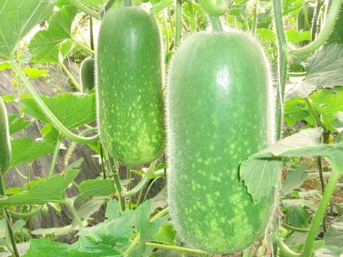 最新七夕吃瓜爆料图片大全,明星情侣甜蜜瞬间大盘点 第3张 最新七夕吃瓜爆料图片大全,明星情侣甜蜜瞬间大盘点 第3张