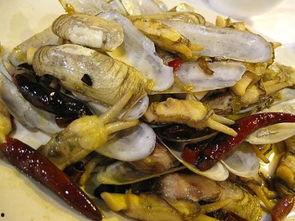 海鲜养殖爆料怎么做视频,爆料视频深度解析  第3张