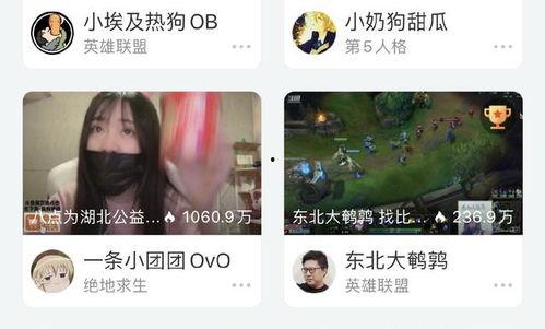 团团热在线观看,热门剧集精彩回顾  第2张