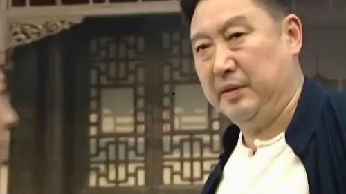 宅门逆子在线观看全集,揭秘家族纷争，探寻复仇之路  第3张