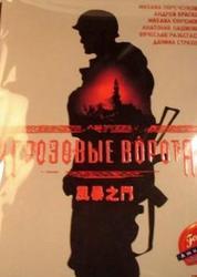 风暴之门电影在线观看,揭秘电影在线观看的奇幻之旅  第2张