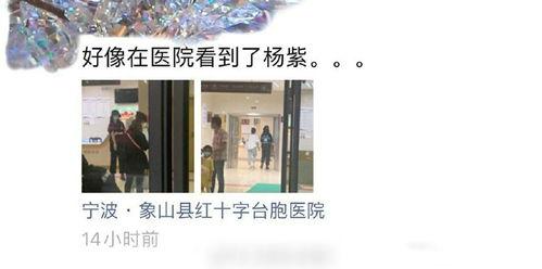 汉口医院爆料事件真相视频,真相视频曝光背后的真相 第3张 汉口医院爆料事件真相视频,真相视频曝光背后的真相 第3张