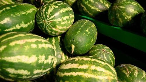 康县网红 吃瓜事件,网络舆论的风暴与反思 第2张 康县网红 吃瓜事件,网络舆论的风暴与反思 第2张