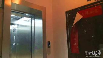 电梯吃瓜网红,揭秘都市生活里的趣味瞬间  第1张